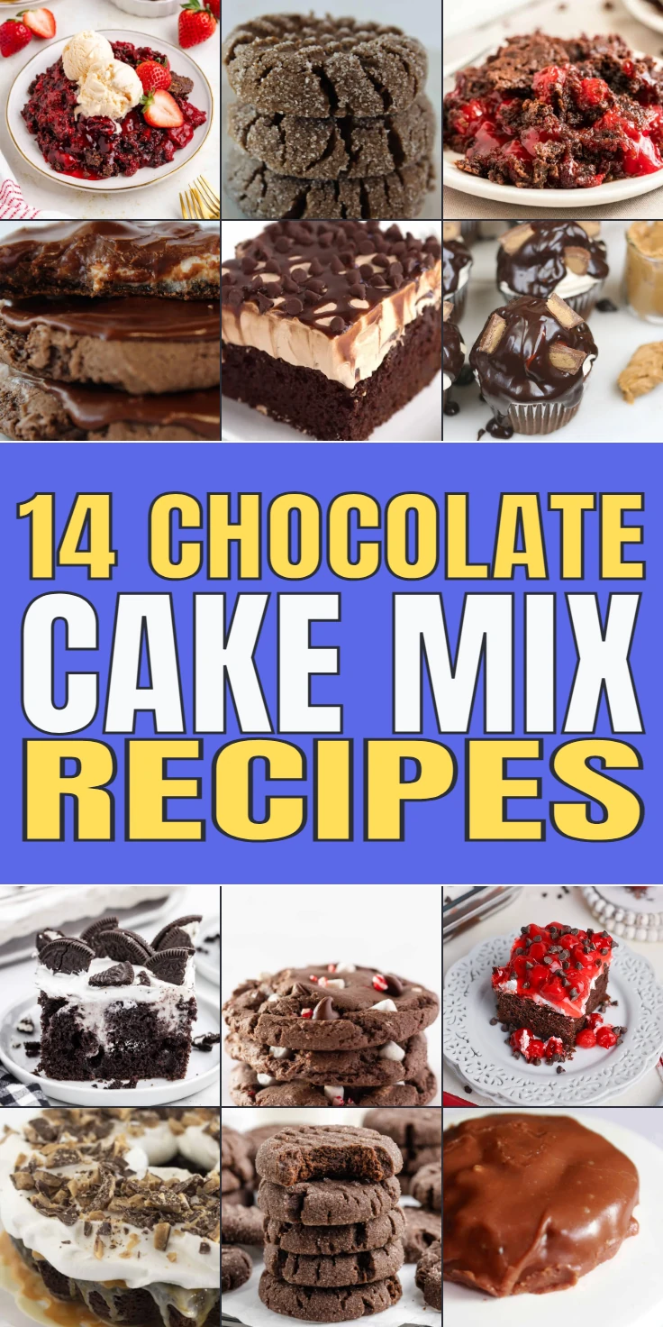 Chocolate Cake Mix Recipes