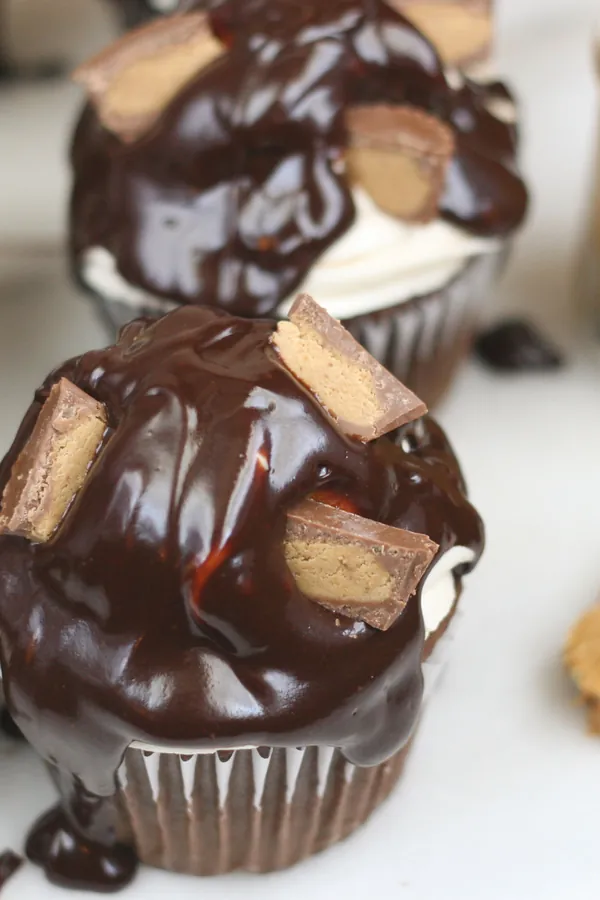 Chocolate Cupcake Recipe