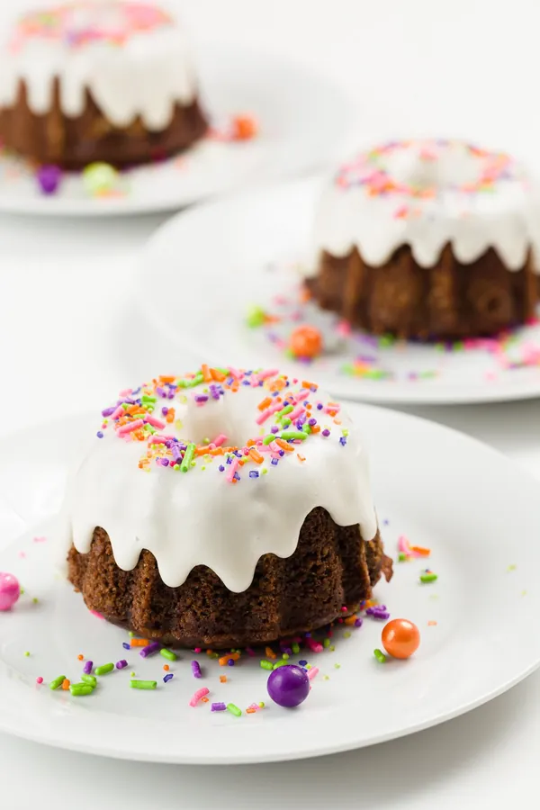 Mini Chocolate Bundt Cakes