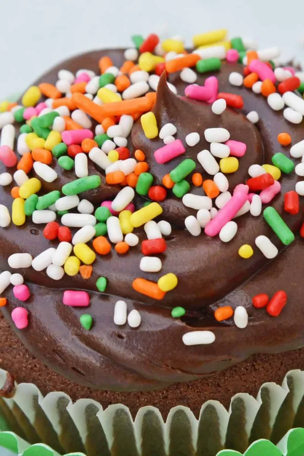 Small Batch Chocolate Cupcakes