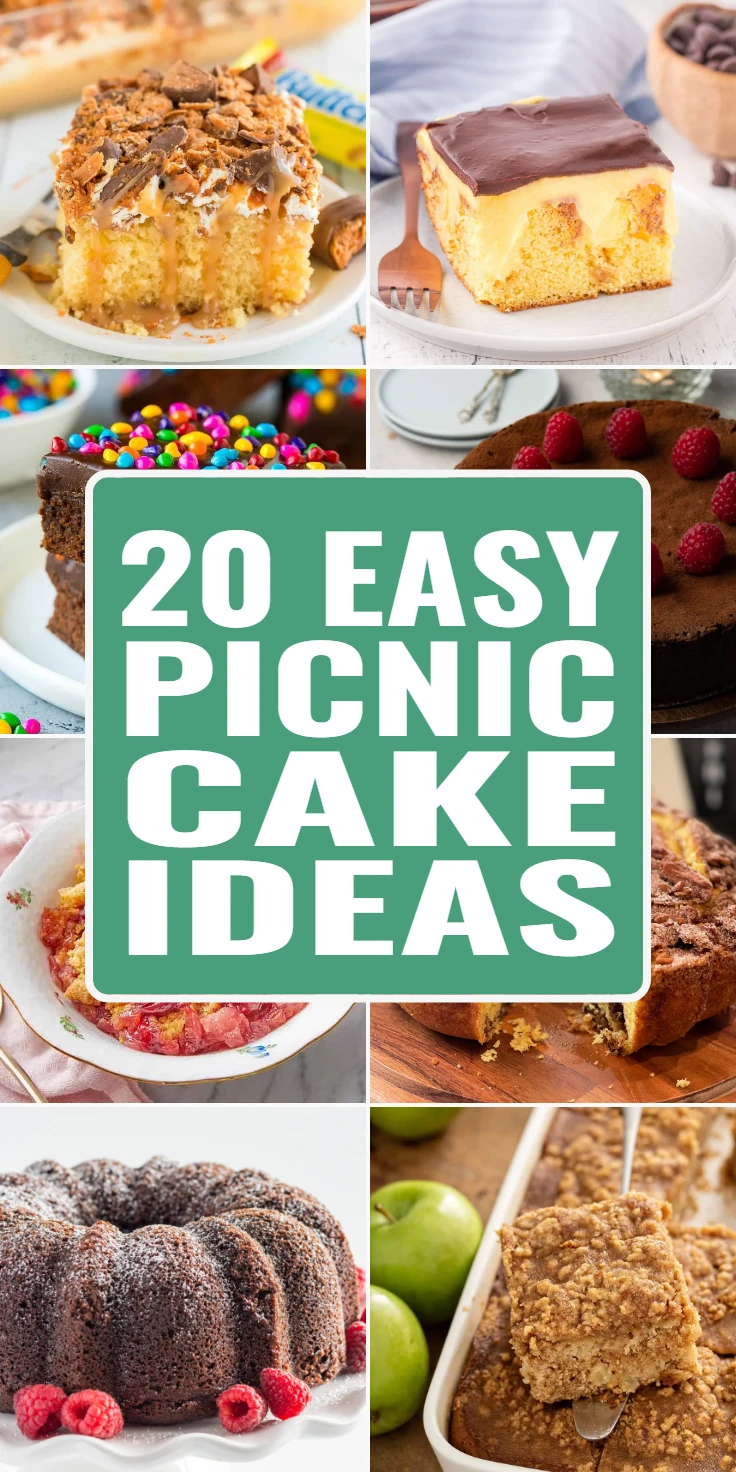 easy picnic cake ideas