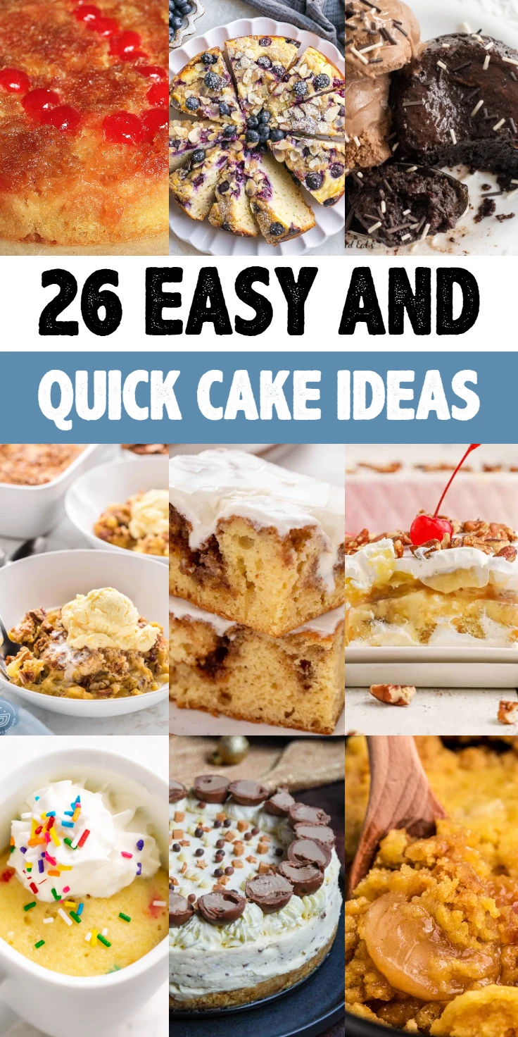 easy and quick cake ideas