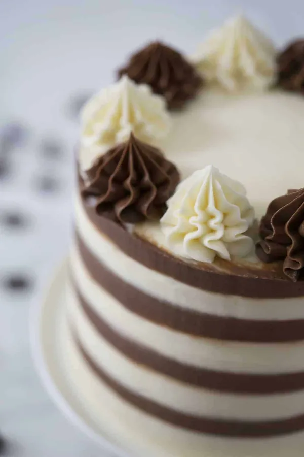 Black and White Cake