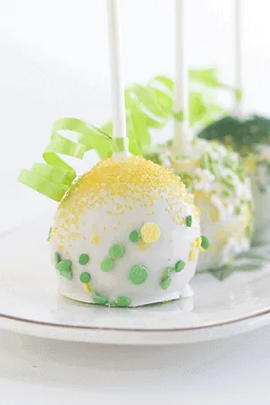 Chocolate Chip Menthe Cake Pops