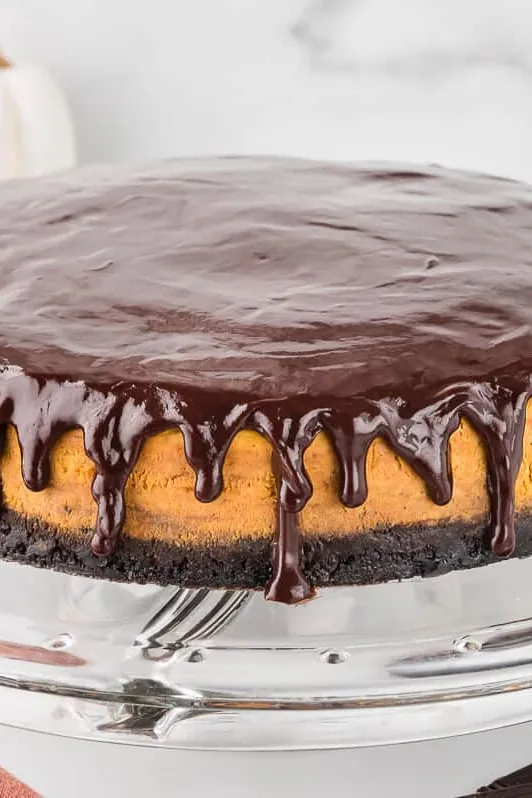 Chocolate Pumpkin Cheesecake
