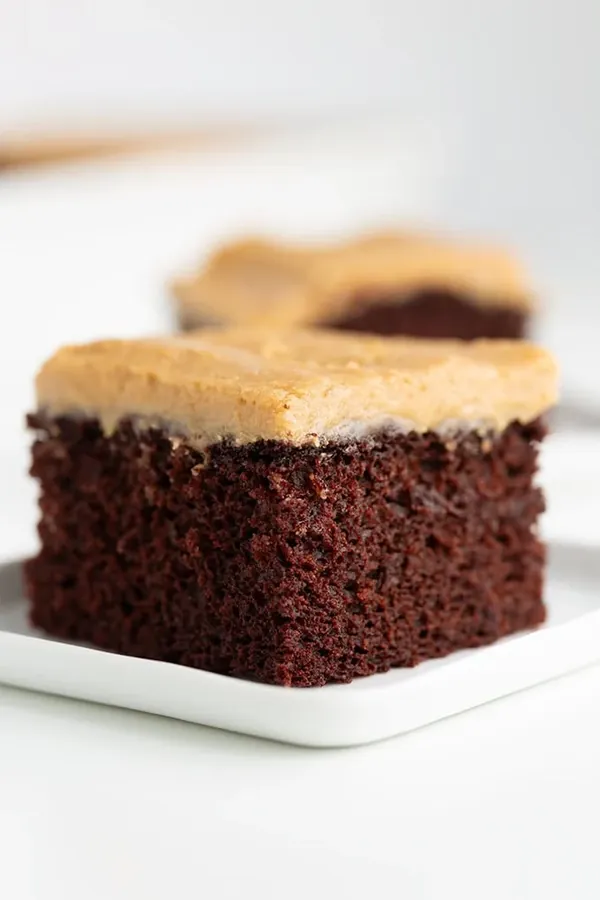 Chocolate Wacky Cake