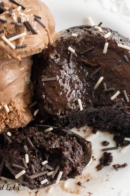 Flourless Mug Cake