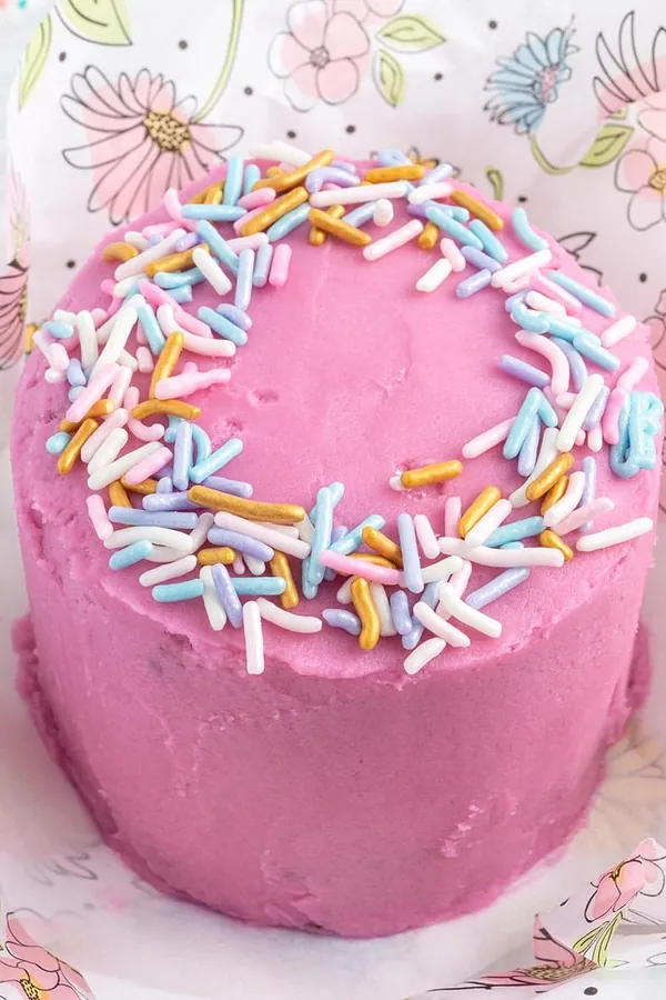 Lunch Box Cakes