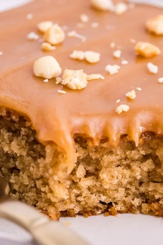 Peanut Butter Cake with Marshmallow Frosting