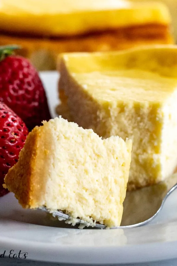 Protein Cheesecake