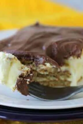 S'mores Eclair Cake