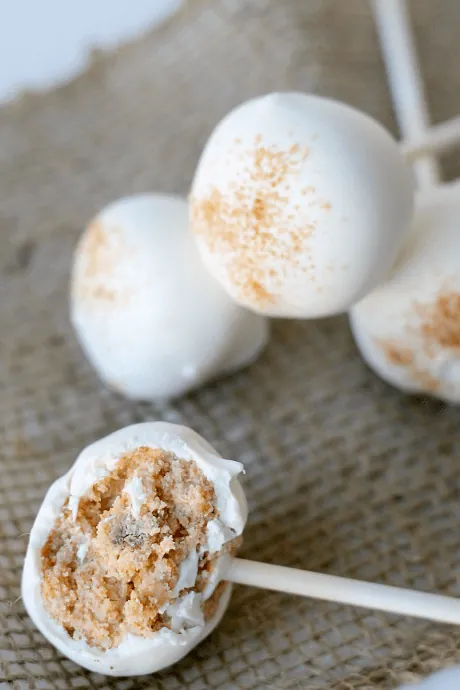 Snickerdoodle Cake Pops