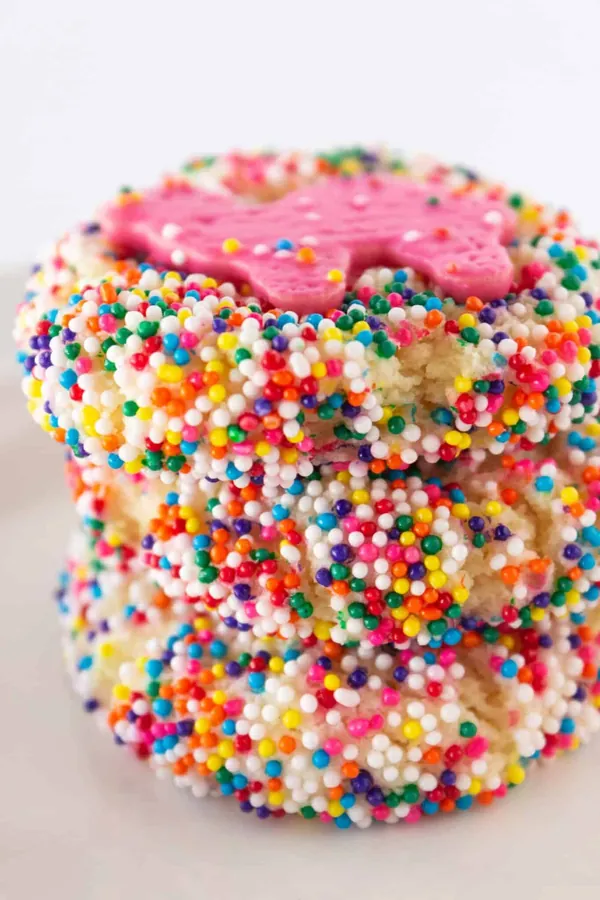 Frosted Animal Cookies Recipe