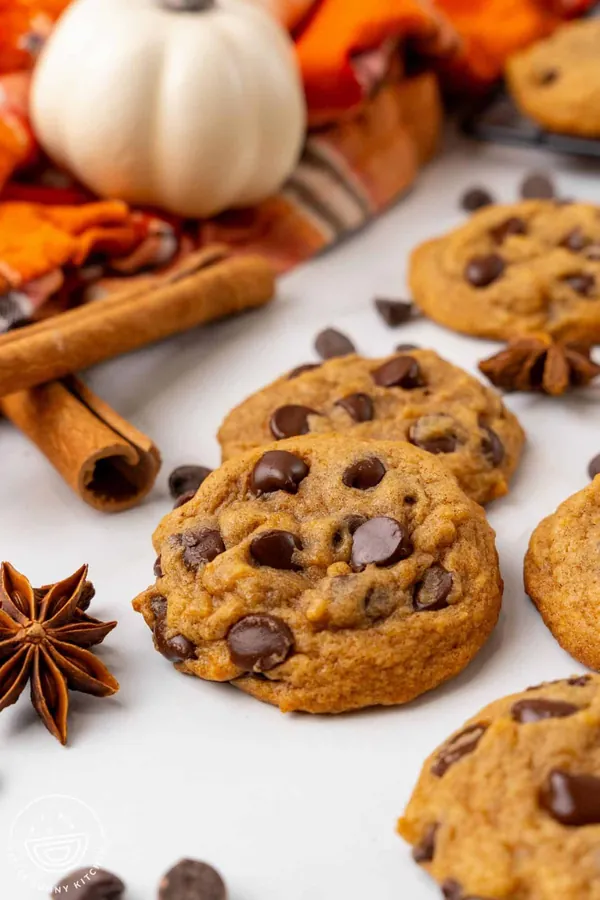 Pumpkin Chocolate Chip Cookies