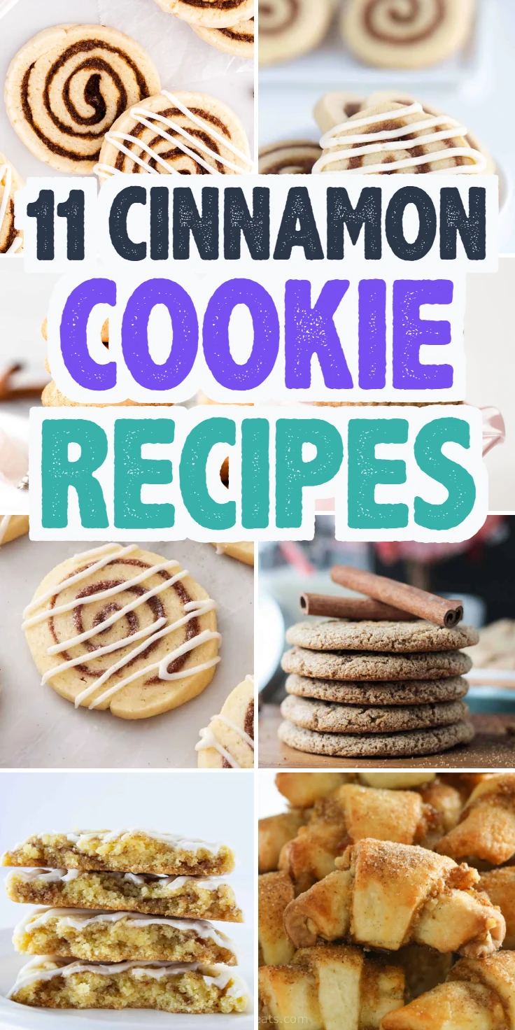 Cinnamon Cookie Recipes