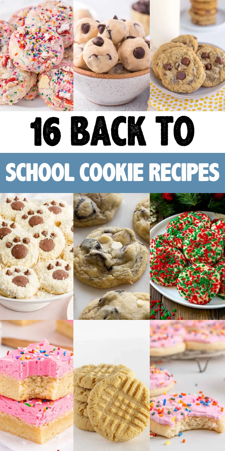 Back to School Cookie Recipes