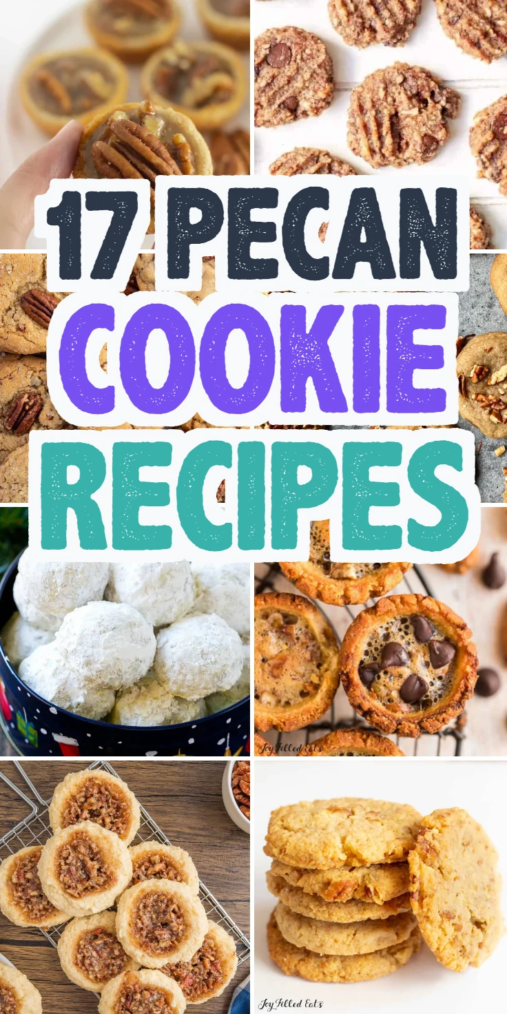 Pecan Cookie Recipes