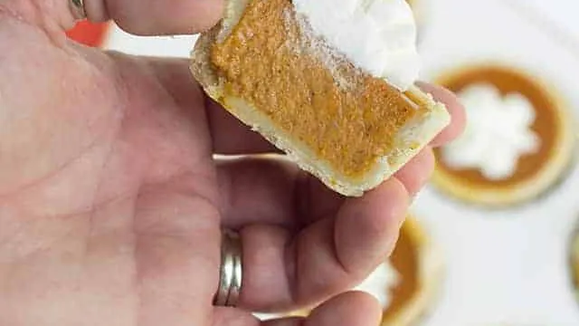 19 Cozy Pumpkin Pie Recipes (That You’ll Want to Make Again)