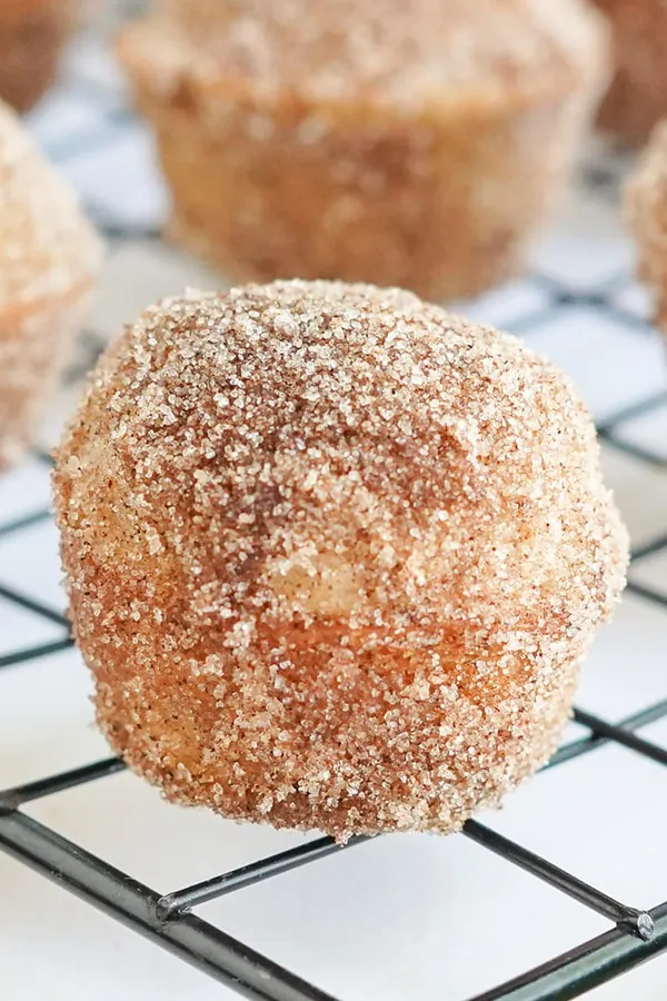 Apple Cider Doughnut Holes