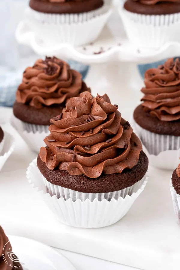 Chocolate Cupcakes