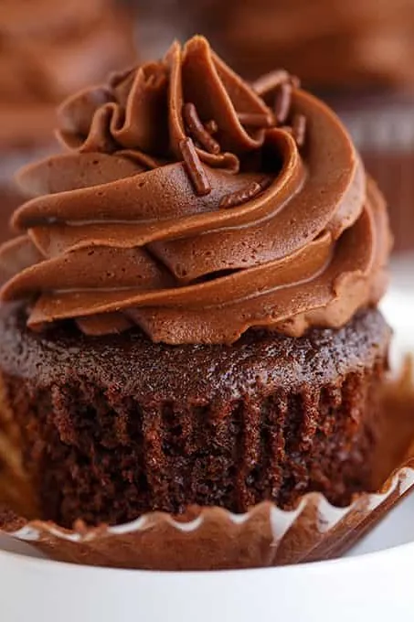Chocolate Cupcakes