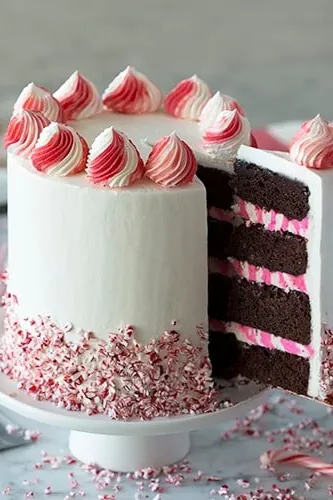 Chocolate Peppermint Cake