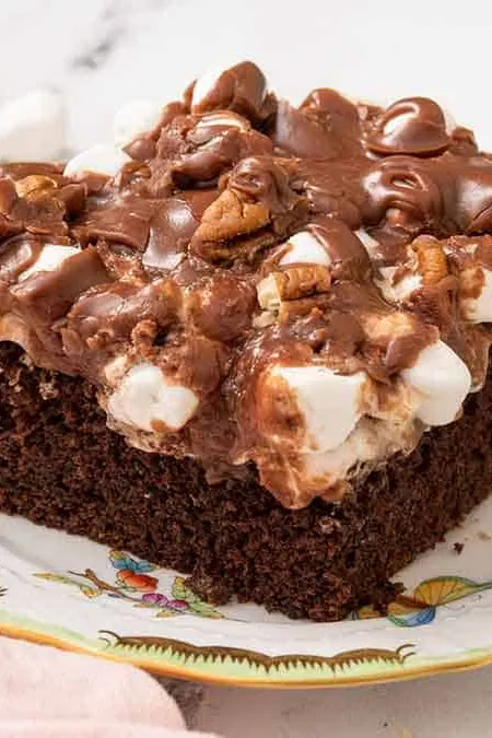 Mississippi Mud Cake