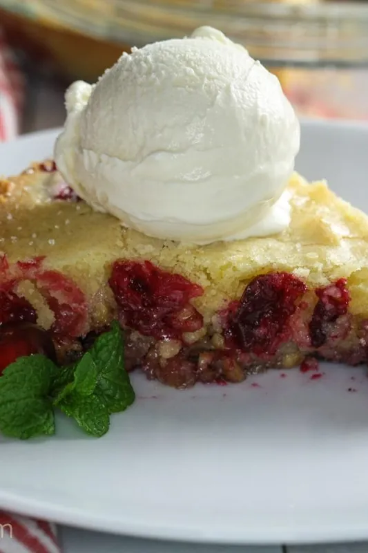 Nantucket Cranberry Pie