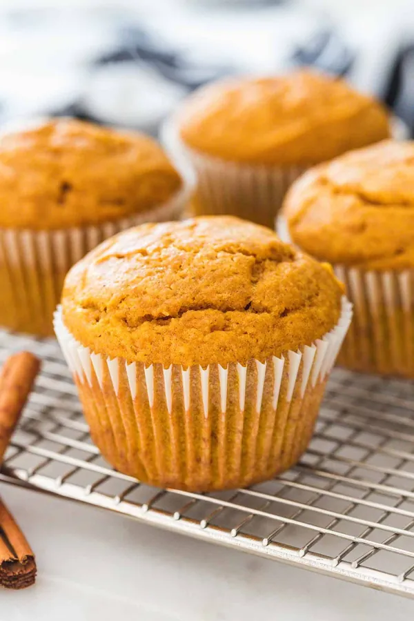 Pumpkin Muffins