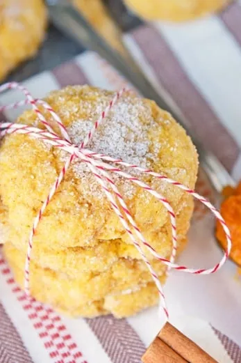 Soft Pumpkin Sugar Cookie Recipe