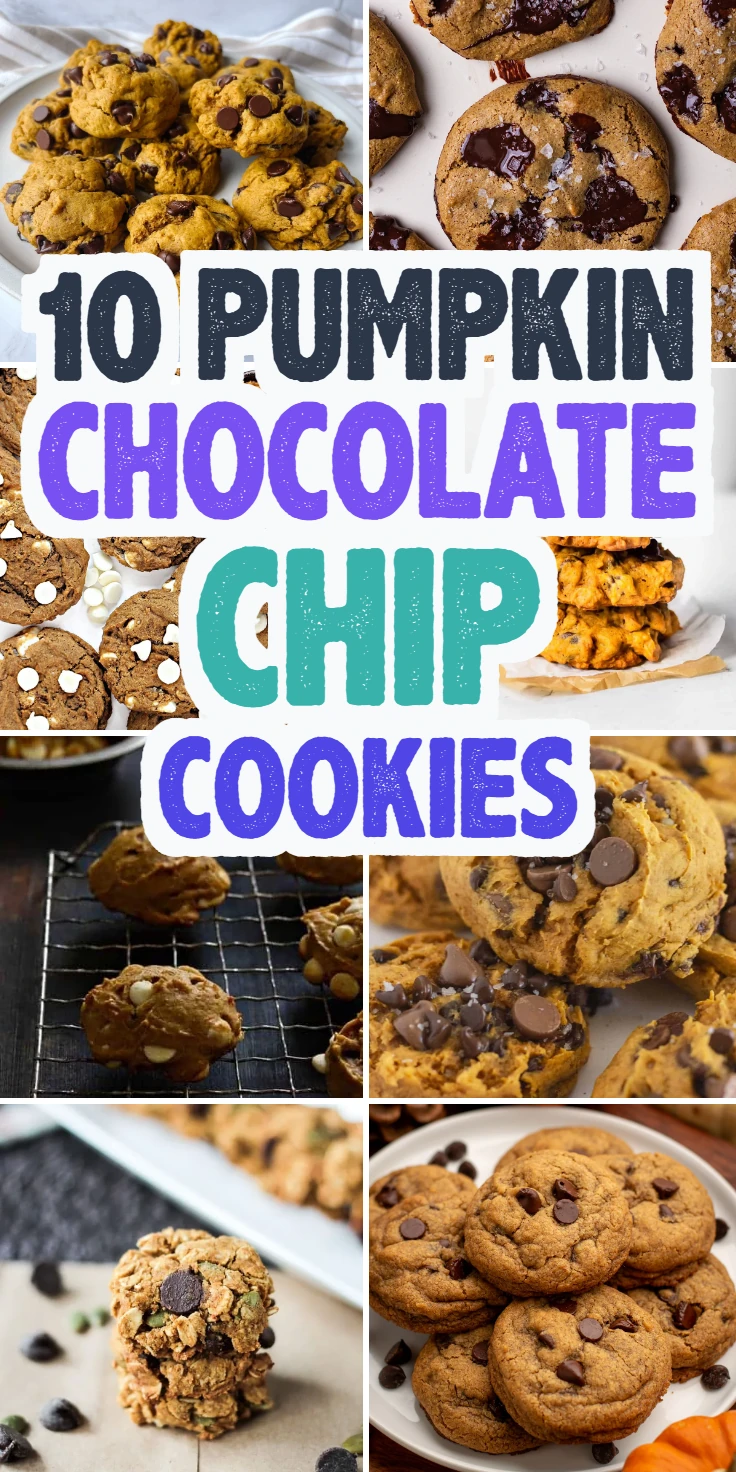 Pumpkin Chocolate Chip Cookies
