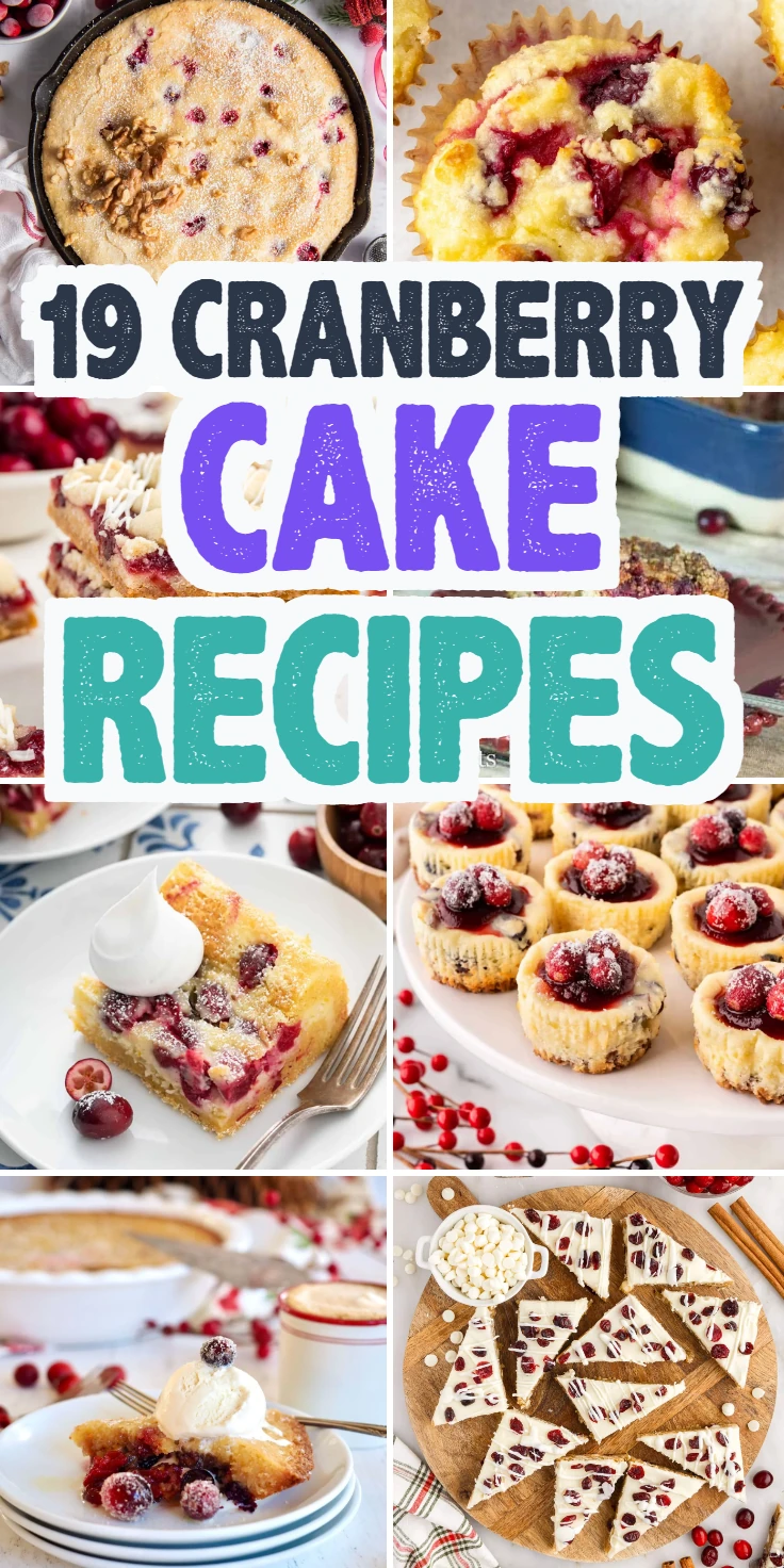 Cranberry Cake Recipes