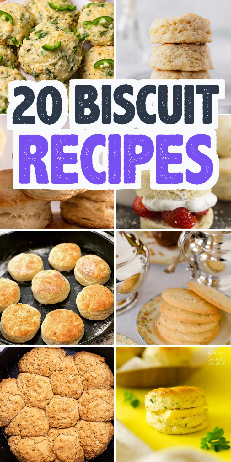 Biscuit Recipes