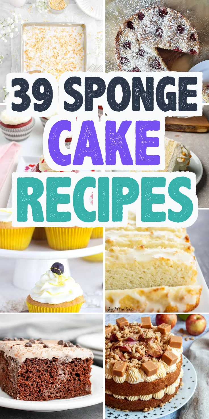 Sponge Cake Recipes