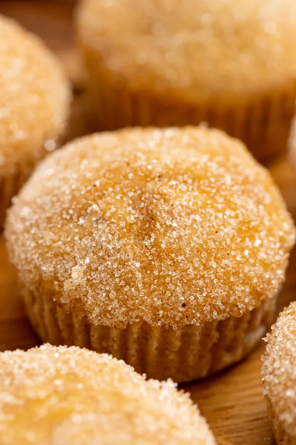 Apple Snickerdoodle Muffins