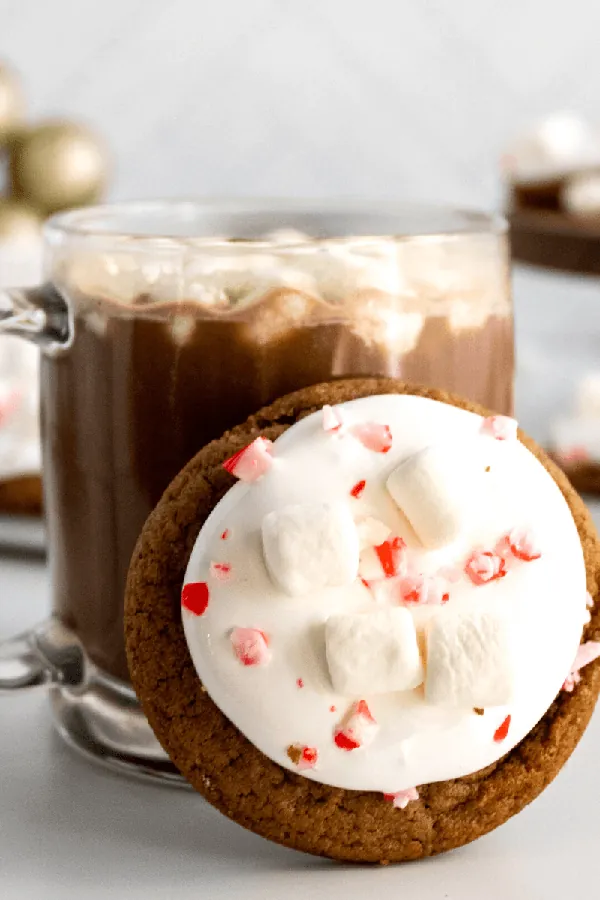 Best Hot Chocolate Cookies Recipe