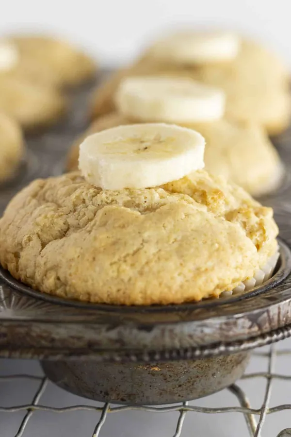 Bisquick Muffins Recipe