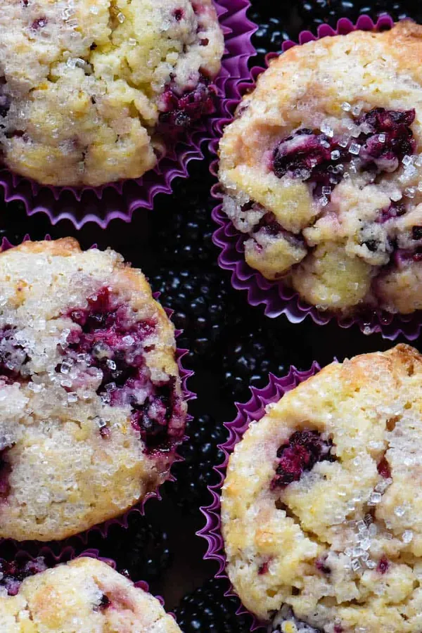 Blackberry Muffin Recipe