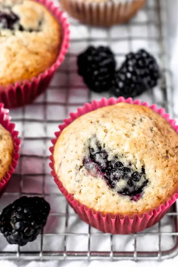 Blackberry Muffins