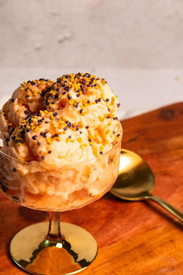 Blender Cantaloupe Frozen Yogurt