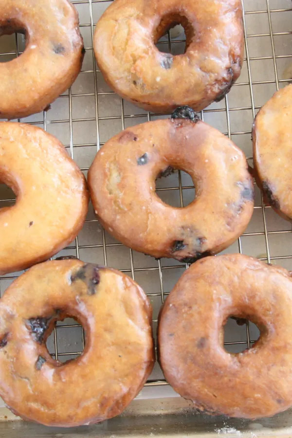 Blueberry Cake Doughnuts