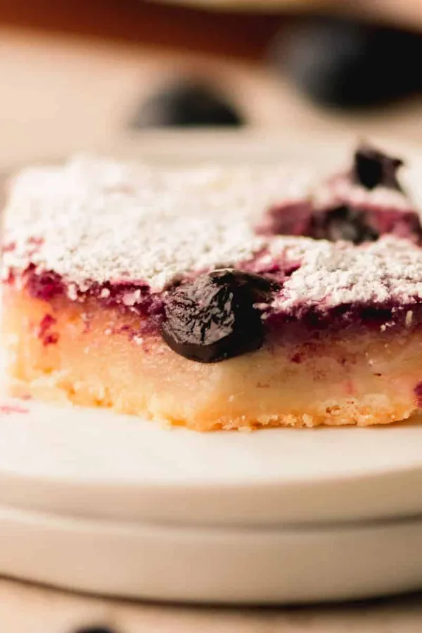 Blueberry Lemon Squares