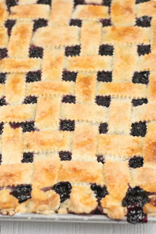 Blueberry Slab Pie