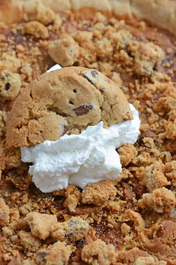 Chocolate Chip Pie