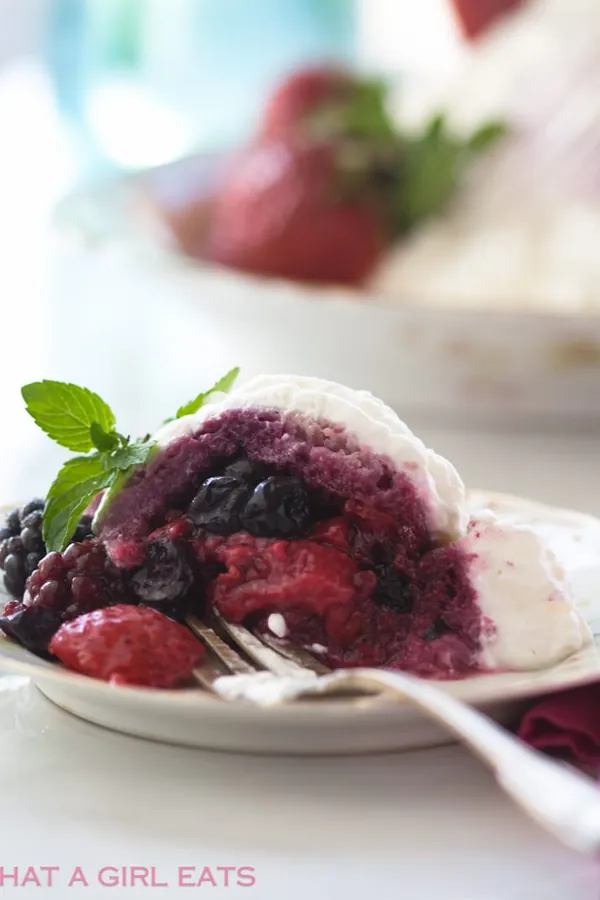 Classic British Summer Pudding