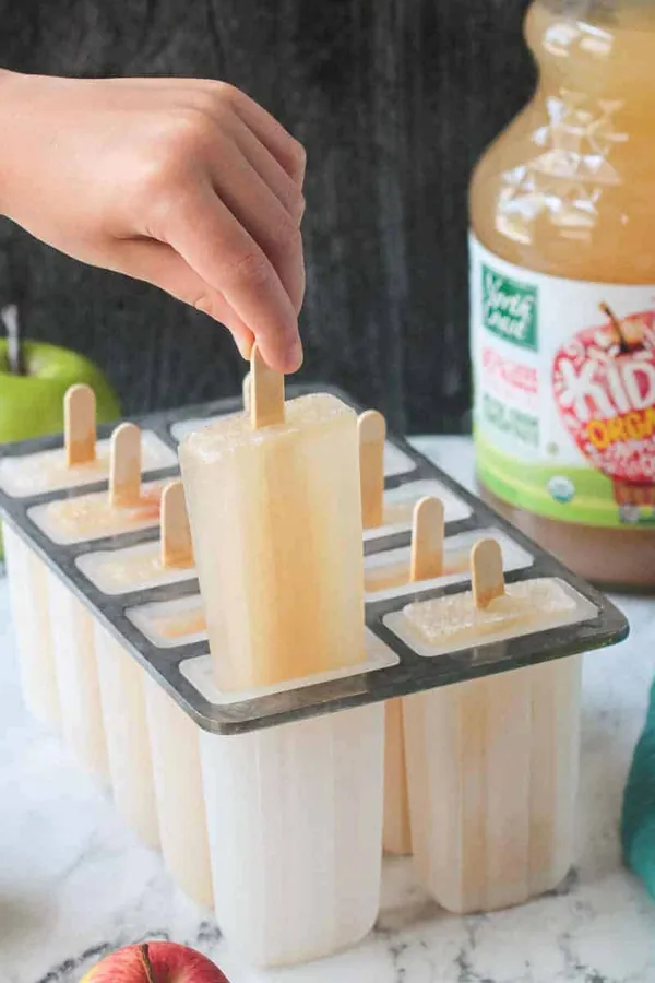 Easy Apple Juice Popsicles