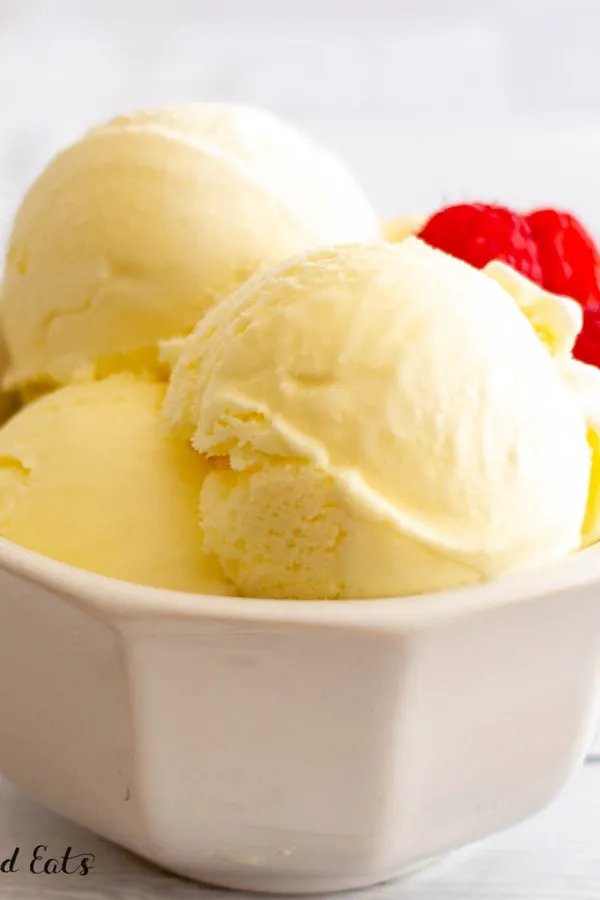 Frozen Custard Recipe