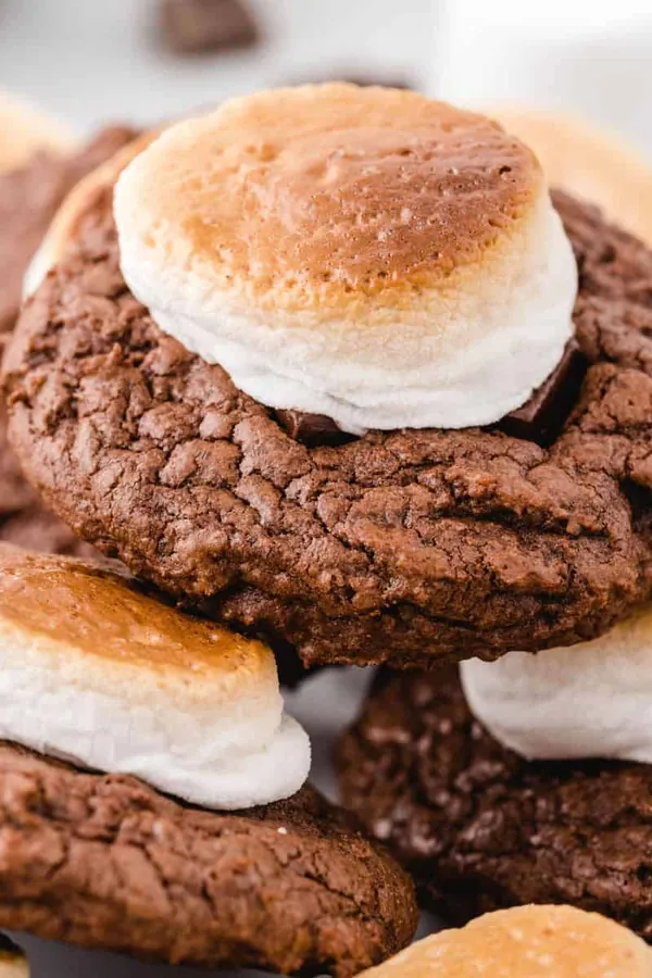 Hot Chocolate Cookies