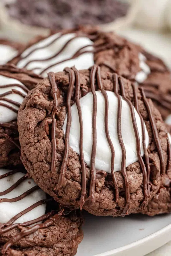 Hot Chocolate Cookies Recipe