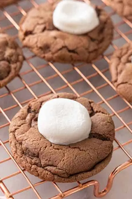 Hot Chocolate Cookies